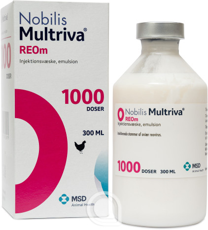 034145 Nobilis Multriva REOm
