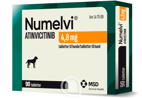 147509 Numelvi