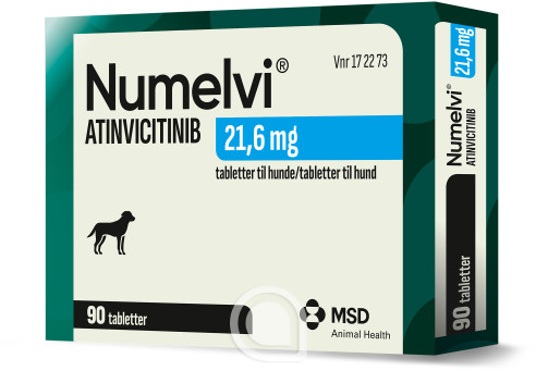 172273 Numelvi