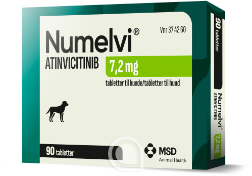 374260 Numelvi