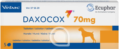 375620 Daxocox