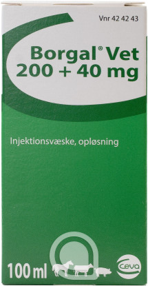 424243 Borgal Vet.