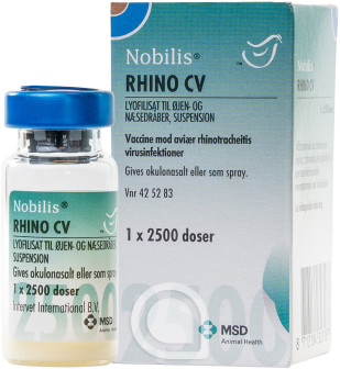 425283 Nobilis Rhino CV