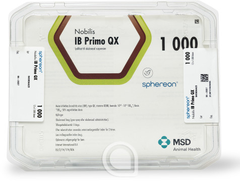 439846 Nobilis IB Primo QX
