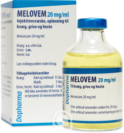 490306 Melovem