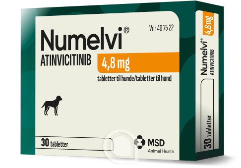 497522 Numelvi
