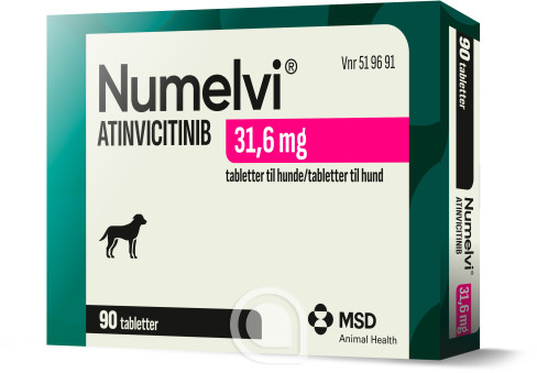 519691 Numelvi