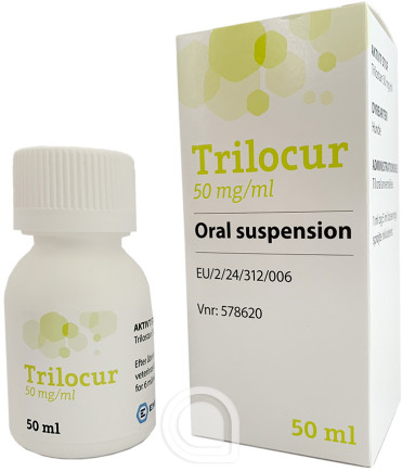 578620 Trilocur