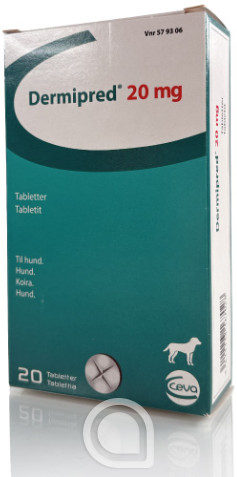 579306 Dermipred