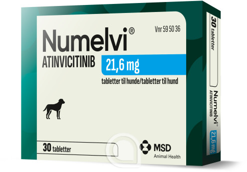 595036 Numelvi