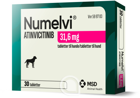 599783 Numelvi